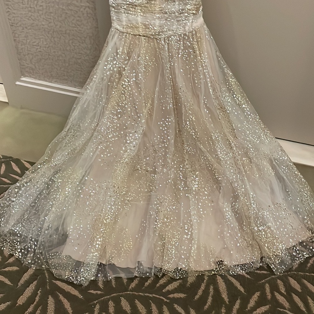Monique Lhuillier Dress Glittery Strapless Chiffon Dress tea length size 10 - Picture 15 of 17